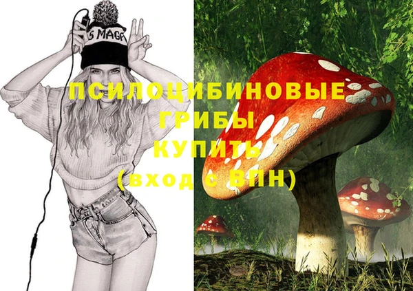 прущая мука Аркадак