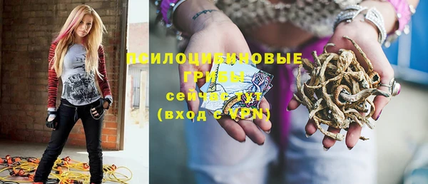 ГАЛЛЮЦИНОГЕННЫЕ ГРИБЫ Алексеевка