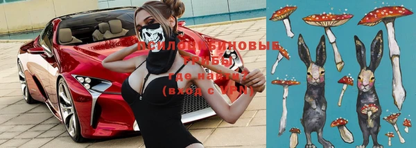 ГАЛЛЮЦИНОГЕННЫЕ ГРИБЫ Алексеевка
